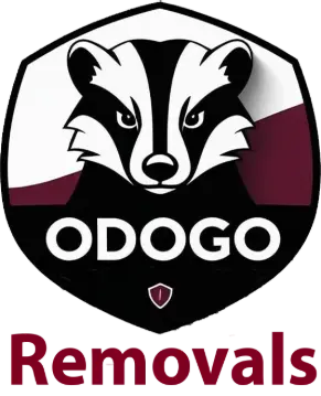 Odogo Removals